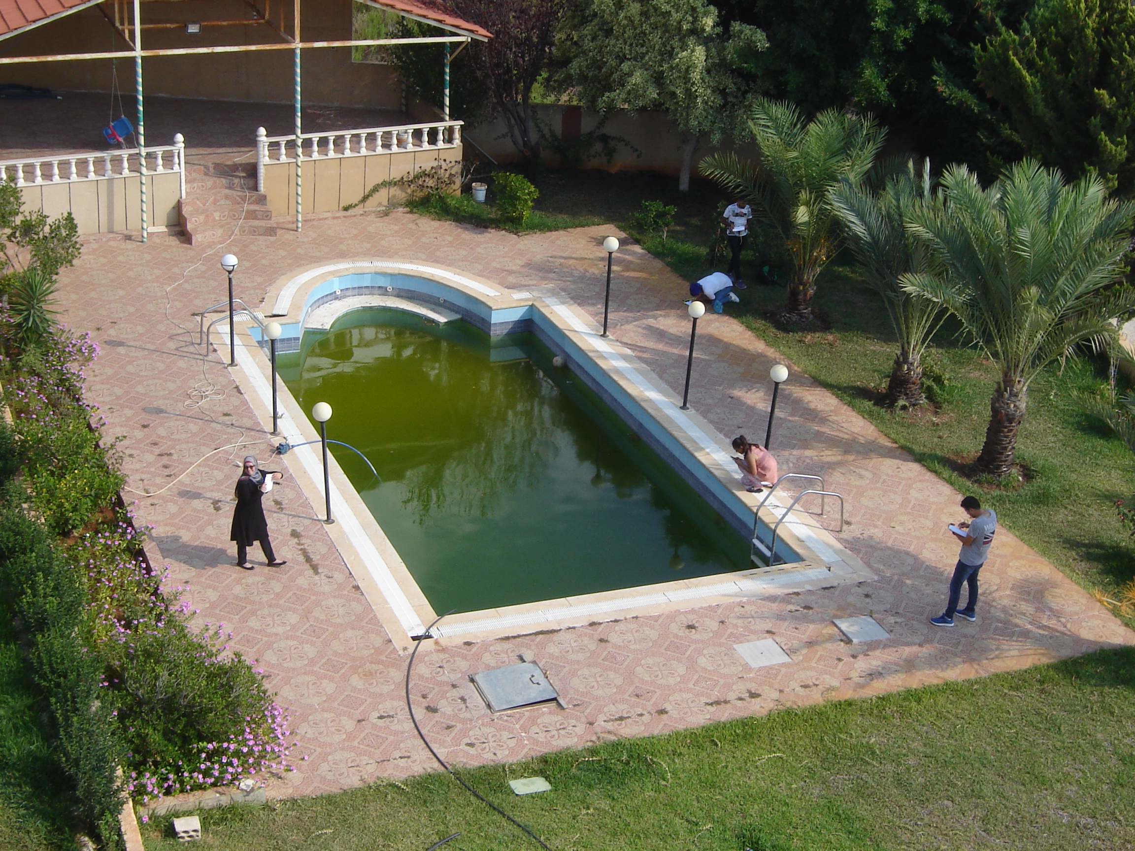 Dry practical recording exercise in the classroom's garden
